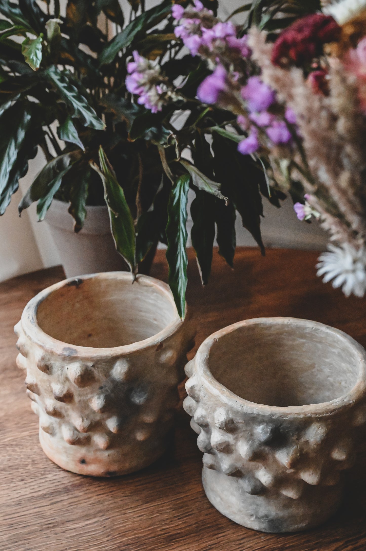 Pots artisanaux en poterie de Sejnane