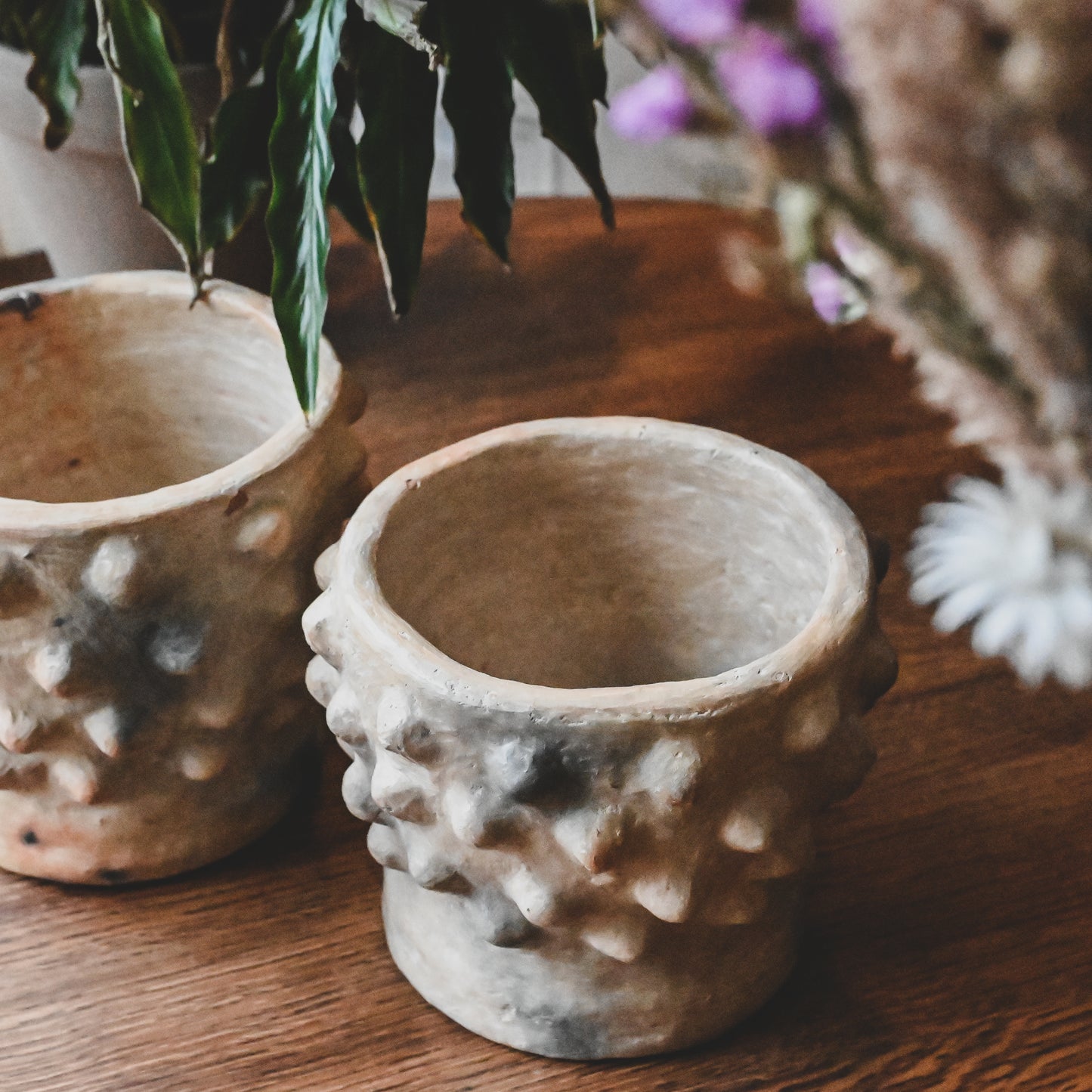 Pots artisanaux en poterie de Sejnane