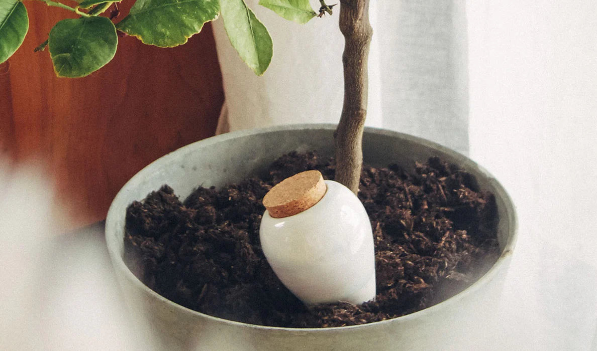 Olla d’arrosage en céramique - Rayures roses et rouges
